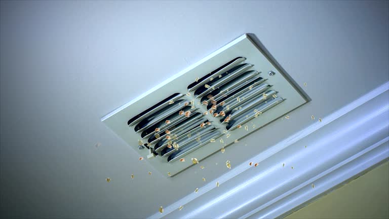 Best Dryer Vent Cleaning Services  in Middlebranch, OH