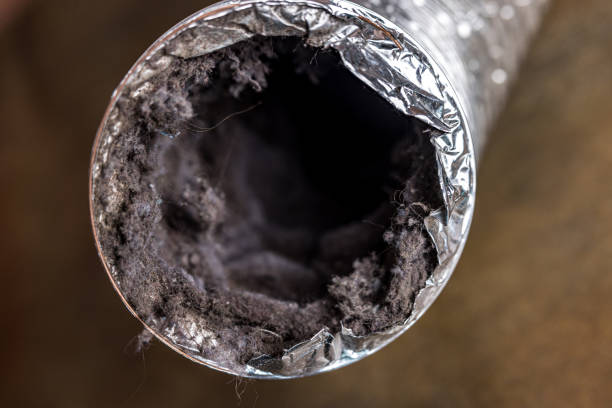 Best Air Vent Cleaning Services  in Middlebranch, OH