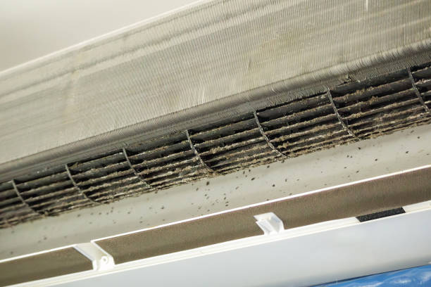 Best Home Air Vent Cleaning  in Middlebranch, OH